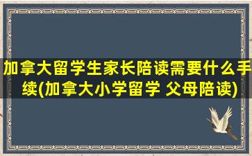 加拿大留学生家长陪读需要什么手续(加拿大小学留学 父母陪读)